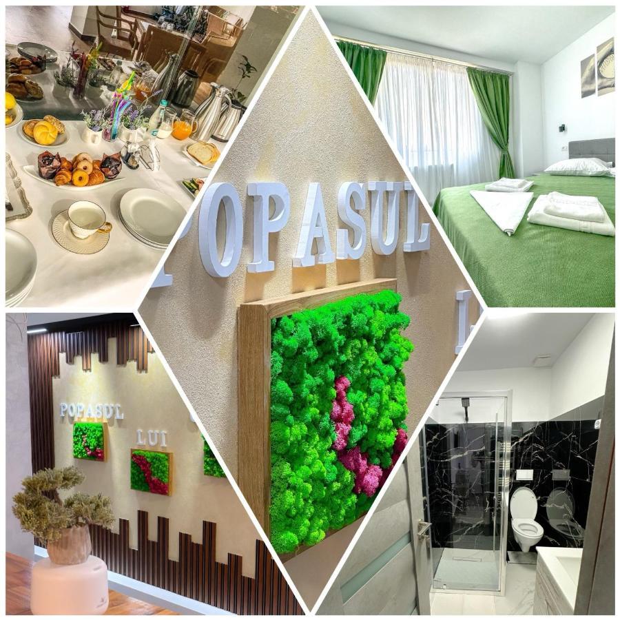 Popasul Lui Gicuta Bed & Breakfast Curtea De Arges Exterior photo